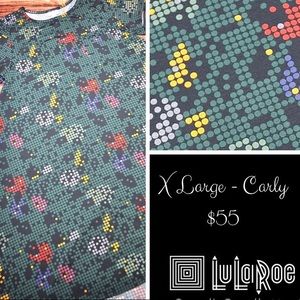 LuLaRoe Carly Swing Dress  - X Large